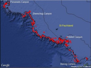 This summer, NOAA Alaska Fisheries Science Center completed the first comprehensive camera survey targeting corals on the eastern Bering Sea outer shelf and slope.