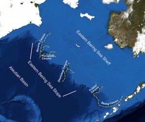 The Bering Sea, and the larger of the Bering Sea Canyons.
